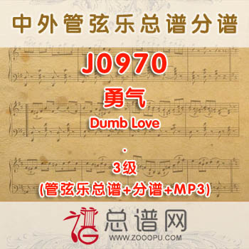 J0970W.勇气Courage 3级 管弦乐总谱+分谱+MP3