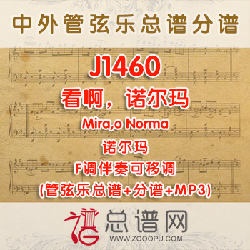 J1460.看啊，诺尔玛Mira,o Norma诺尔玛 F调二重唱伴奏可移调 管弦乐总谱+分谱+MP3