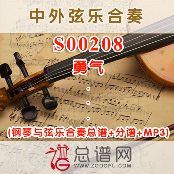 S00208.勇气 梁静茹 钢琴与弦乐合奏总谱+分谱+MP3 ¥80元